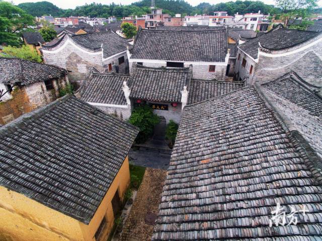 “大夫第”是一个九座院落式古宅，前身为畔水村清代官员成兆候的府第。岭南集团投资600多万元将它打造成大夫第乡村民宿。