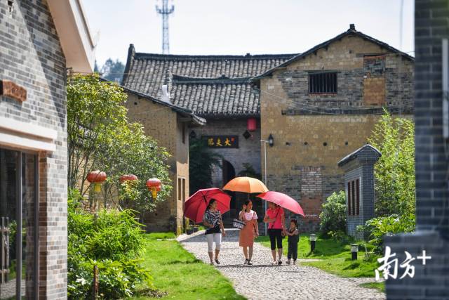 在朱岗村，乡村的“美丽效应”被激发出来，不少游客来到这里游玩打卡。