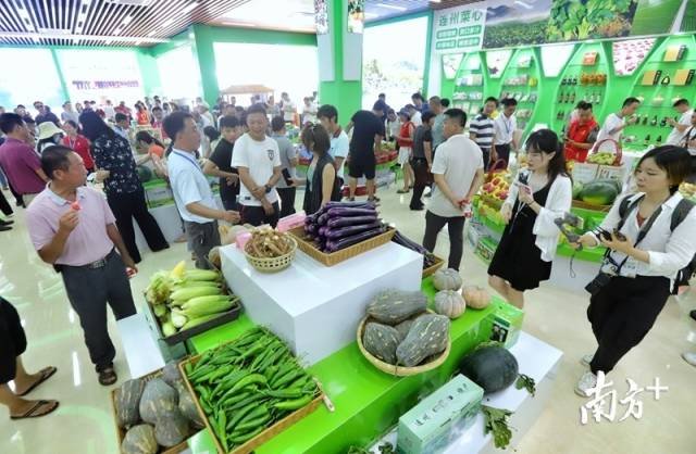 连州土壤硒含量丰富，富硒农特产品吸引了众人关注的目光。梁素雅 摄