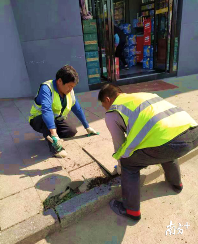 对北山路、南门大道等地段损坏路面进行修复。