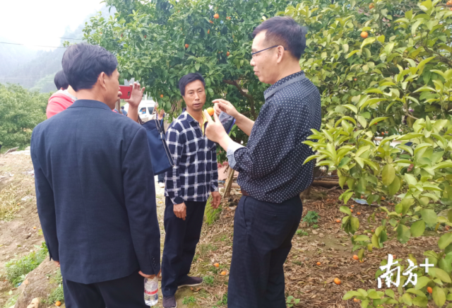 农技师对种植户进行“零距离”技术指导。
