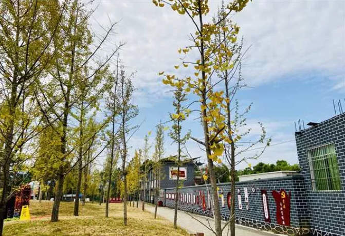 微信截图_20210525112204.png