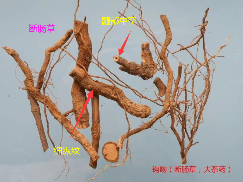 1508552 (4).png