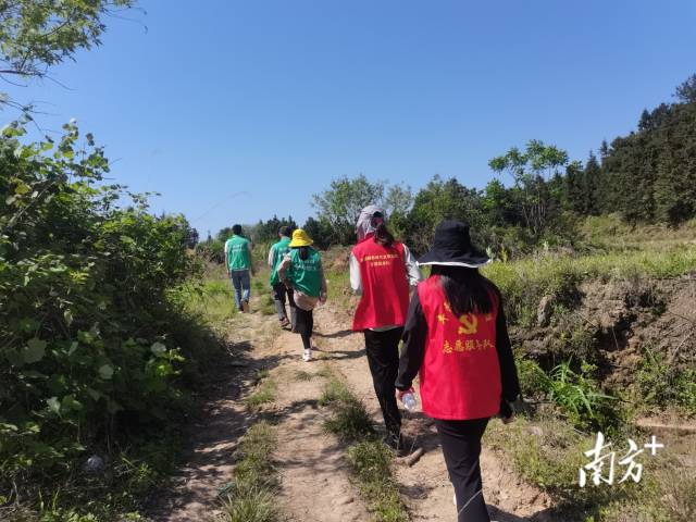 丰阳镇的440余名党群志愿者坚守先锋岗，守护丰阳的绿水青山。