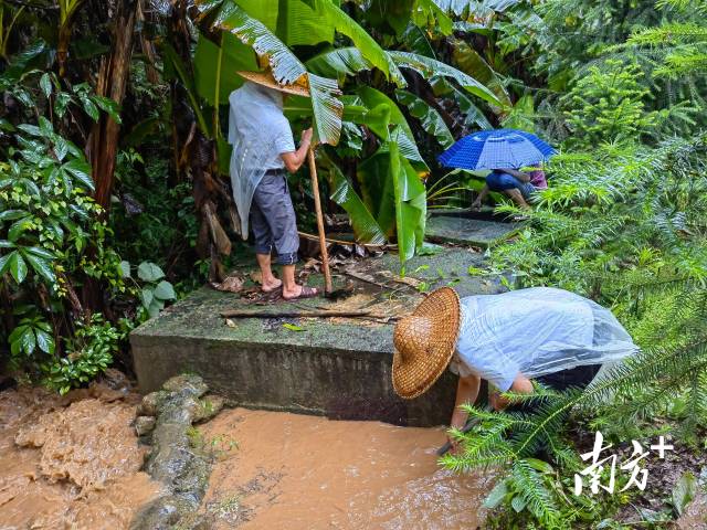 为保障陂岭近三分之二村民用水，陂岭村新老干部冒雨前往水源点解决集中供水问题。