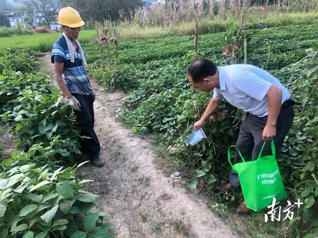 喷洒施药。