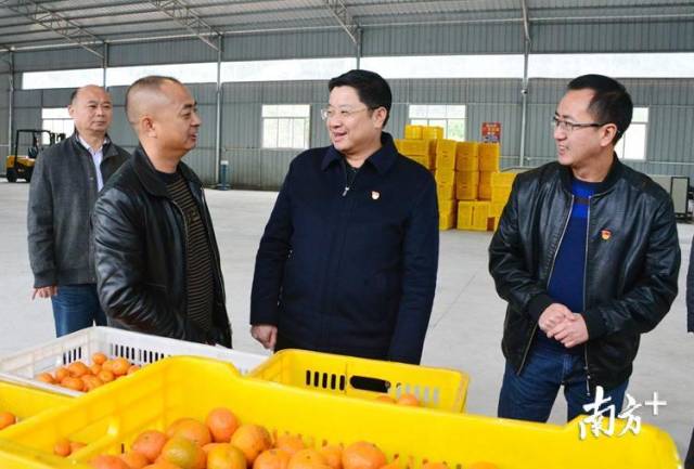 唐庆卫调研连州市丰阳镇区域特色农产品服务中心。记者黄津 摄