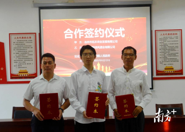 连州市拓丰农业发展有限公司、连州市醉清风酒业有限公司、连州市丰阳镇人民政府共同签订合作协议。