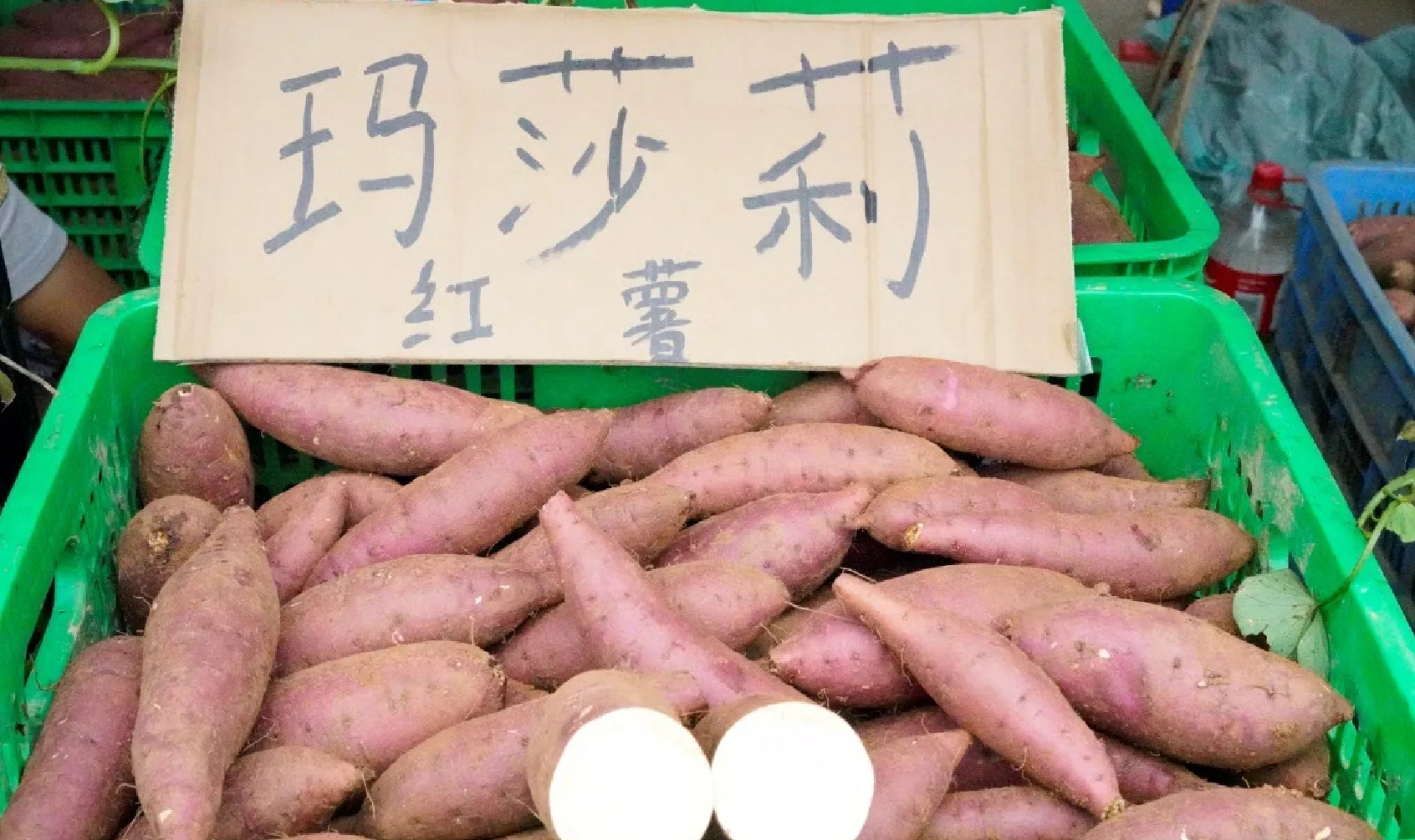 e706fb0c762f9d7ca606abbdc7b72ed3.png