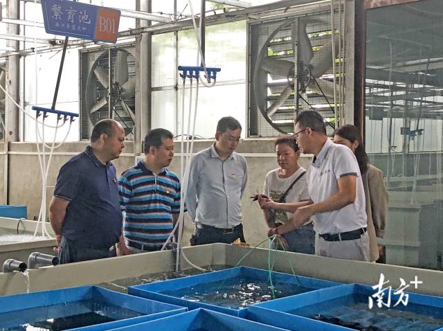 在畔水渔晟园了解特色产业发展情况。