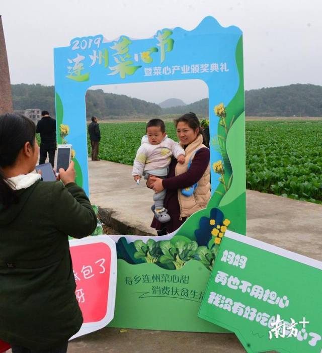 在连州菜心基地游玩的游客。记者黄津 摄