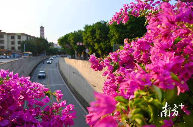 连州织就一张“外联内畅、城乡融合”的立体交通蓝图。黄津 摄 连州织就一张“外联内畅、城乡融合”的立体交通蓝图。黄津 摄