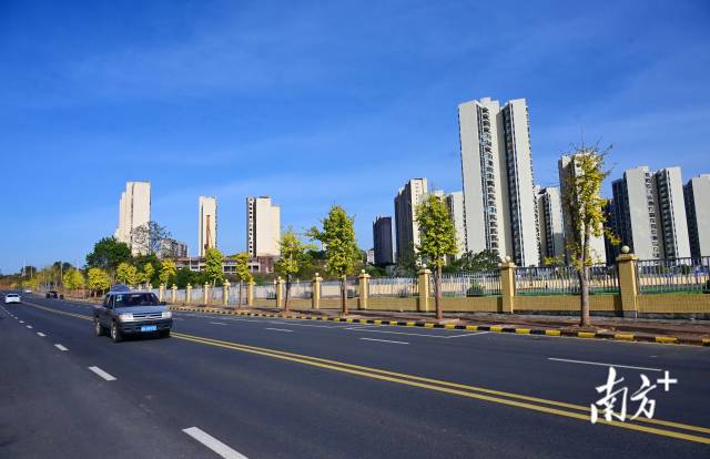 冈溪路。黄津 摄 冈溪路。黄津 摄