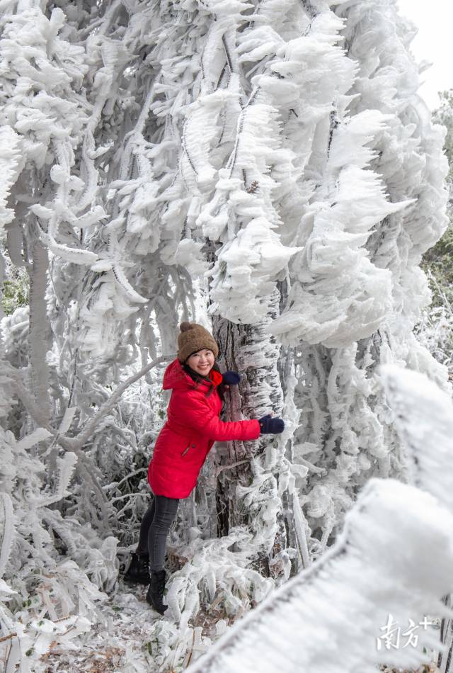 连州雪景醉游人。罗敏 摄 连州雪景醉游人。罗敏 摄
