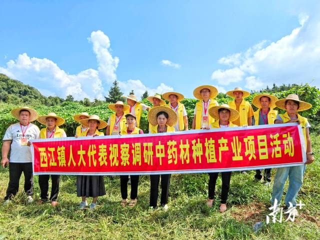 代表们实地调研，为产业振兴培育新动能。 西江镇 供图