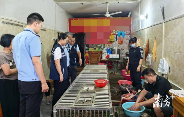 开展联合检查，为鸟类等野生动物撑起坚实的“保护伞”。