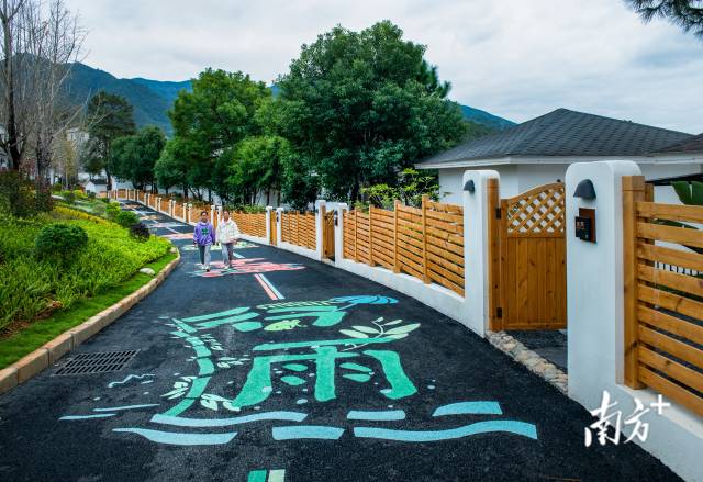 西岸镇高标准推进“古村之尚 古今共悦”古村落活化利用项目。吴秋伟 摄