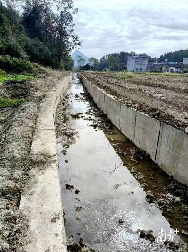 清淤前的渠道。杨钧著 摄 清淤前的渠道。杨钧著 摄