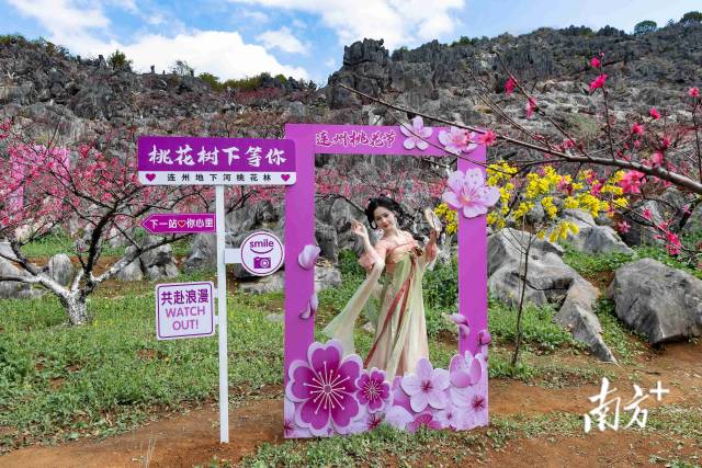 连州正以满山桃色，向八方游客发出春日邀请。爱地旅游 供图