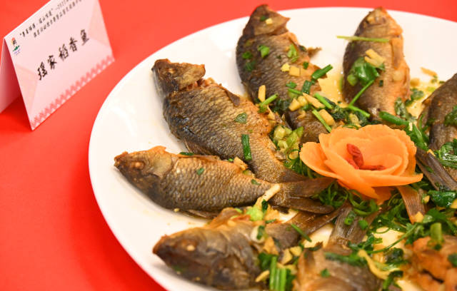 稻香鱼。黄津 摄