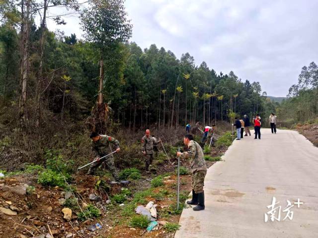 义务植树现场。九陂镇武装部 供图