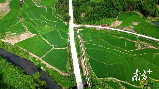 兰管灌区。连州水利局 供图 兰管灌区。连州水利局 供图