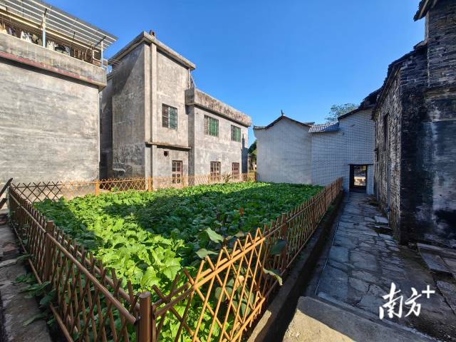 整洁美观的西江镇外塘村。西江镇 供图