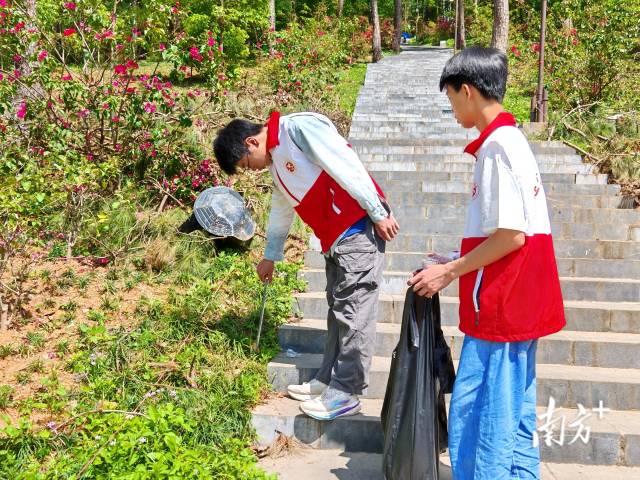 青年志愿者们认真清理沿途垃圾、维护山林整洁。连州镇 供图