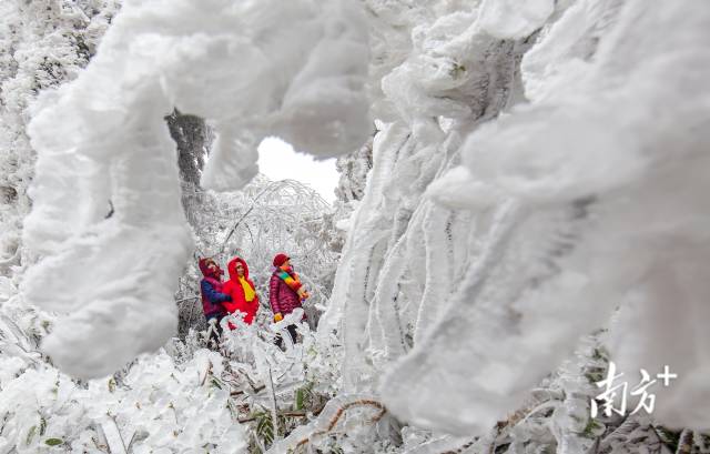 潭岭天湖雪景。罗敏 摄