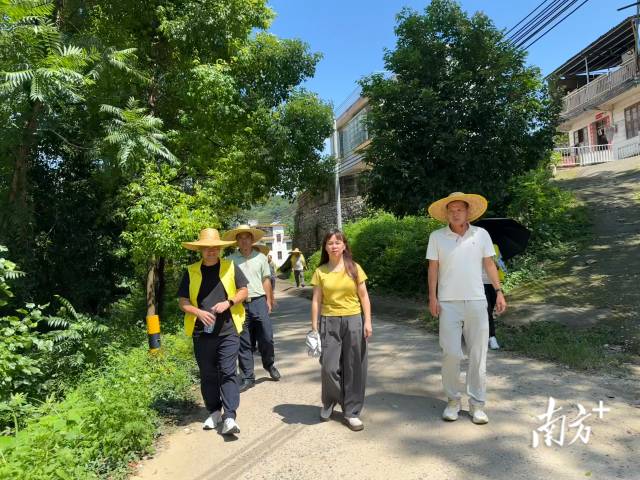 人大代表和乡村振兴工作队成员入村走访。 九陂镇供图