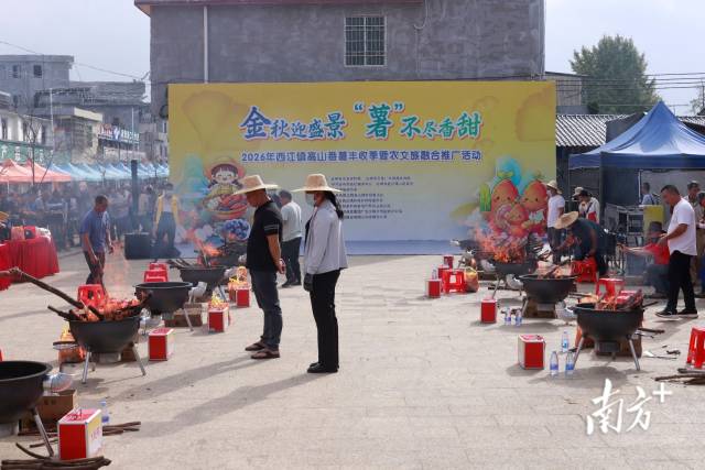 烤番薯大赛。 西江镇供图