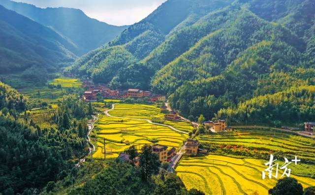 田心村。宣传部供图