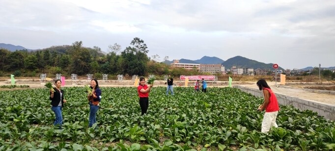 产学研农耕文化体验活动 。