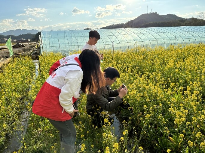 丰阳电商中心张帮歧（中）培训电商人才。