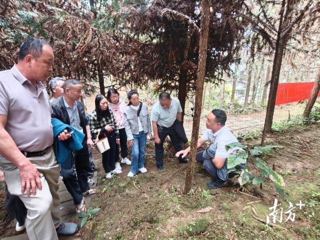 培训班将课堂搬到田间地头，拓展学员们的视野。 三水瑶族乡供图