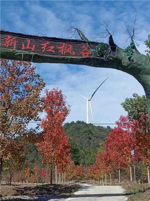 图片4.jpg